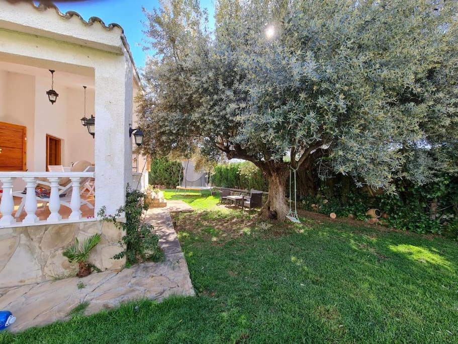 Villa Carmen Alcossebre Exteriör bild